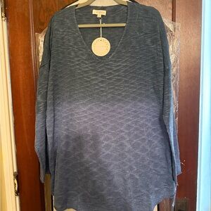 Umgee Blue V-Neck Sweater